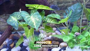 Top Fake Aquarium Plants: A Comprehensive Guide for Every Tank