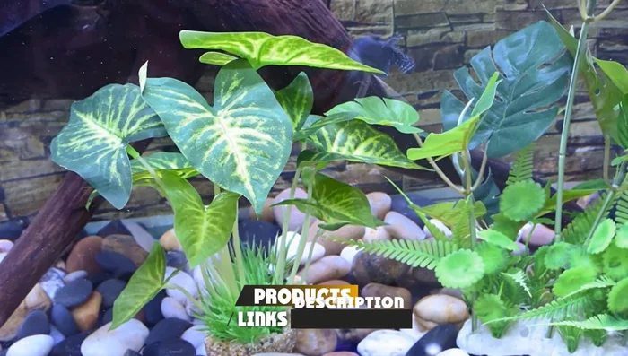 Smarlin Aquarium Plants Decoration: Non-Toxic and Betta-Safe