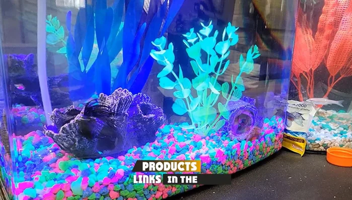 Your Easy Plant Sets: Variety of Styles & Decor