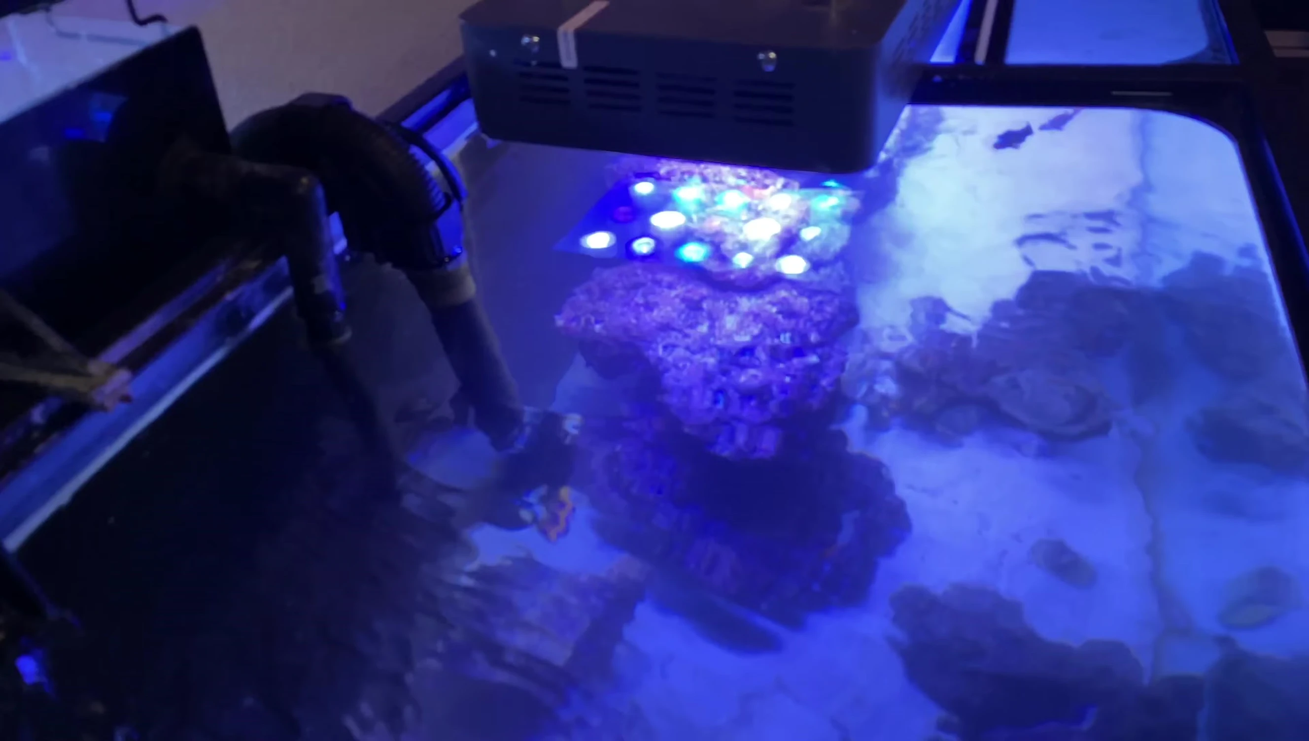 A selection of caves ready to be placed in the tank.