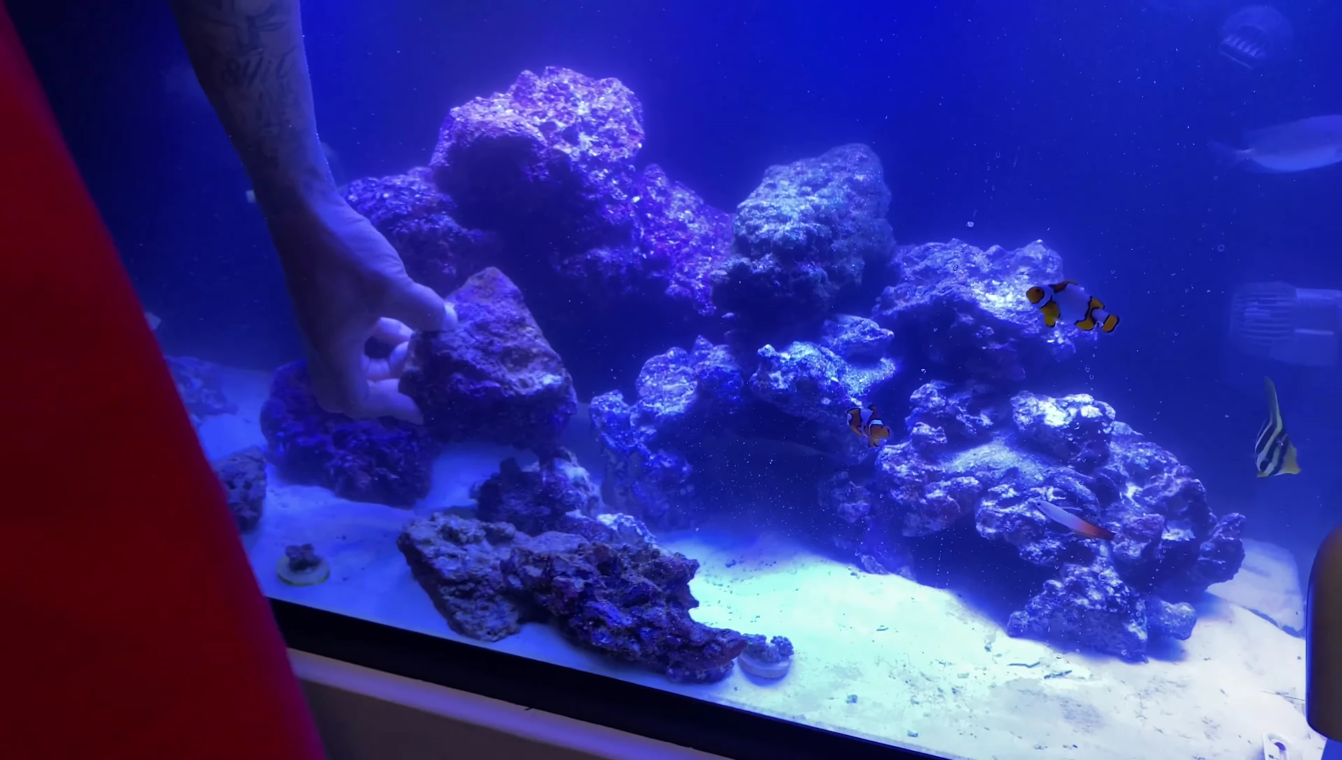 The aquarist begins placing the caves within the aquascape.