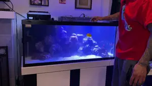 75 Gallon Aquarium Rescape: A Live Rock Transformation