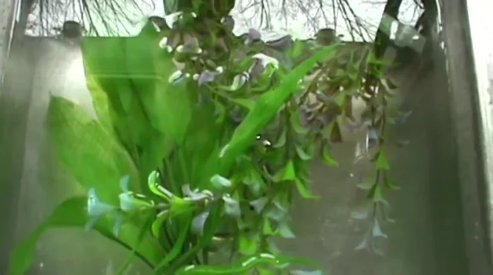 Empty the sink and thoroughly spray it down to remove bleach residue.
