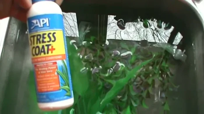 Add a water conditioner (like Stress Coat) to the rinsing water to help neutralize the chlorine.