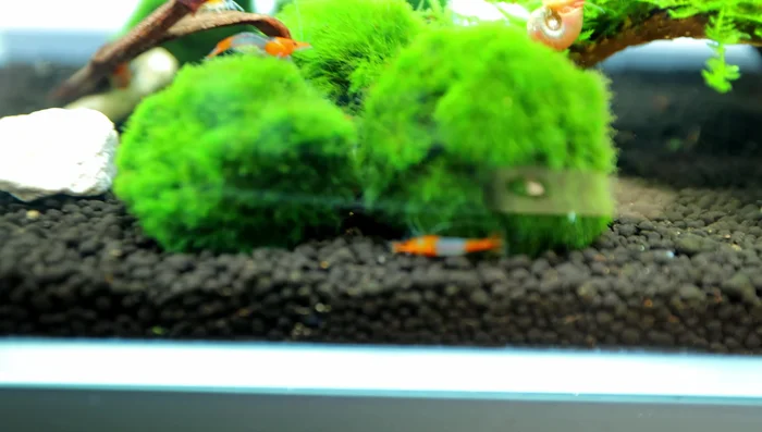 Add filter: Install a small filter, ensuring adequate space for water flow.