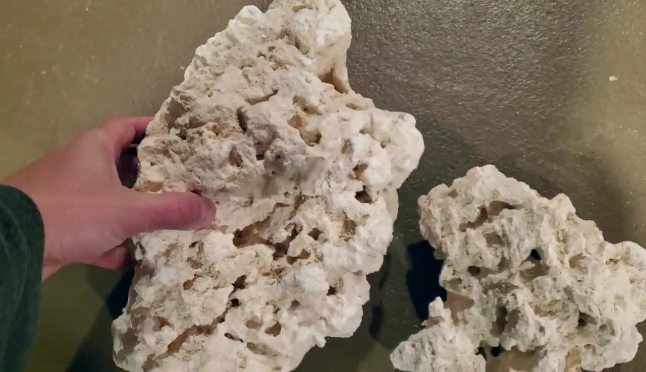 Detail shot showcasing the texture and porosity of the rock.