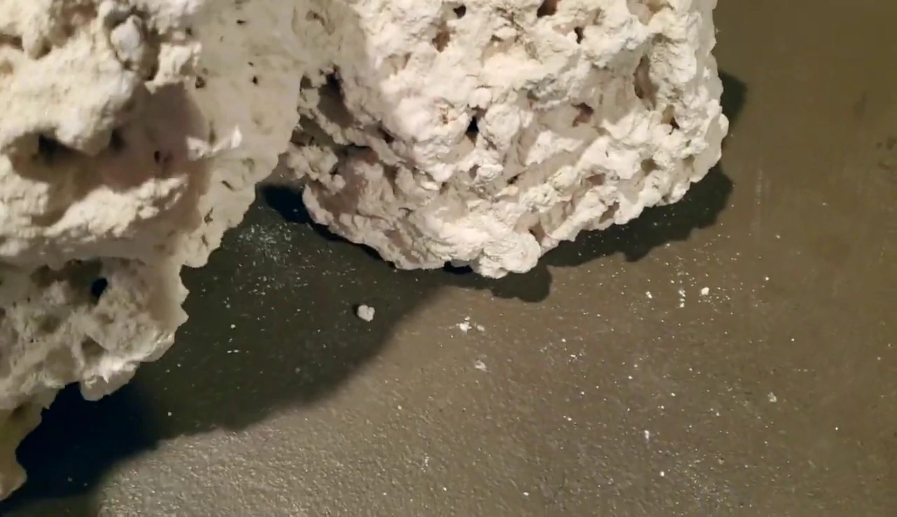 Several of the rocks arranged on the floor to demonstrate size and shape.