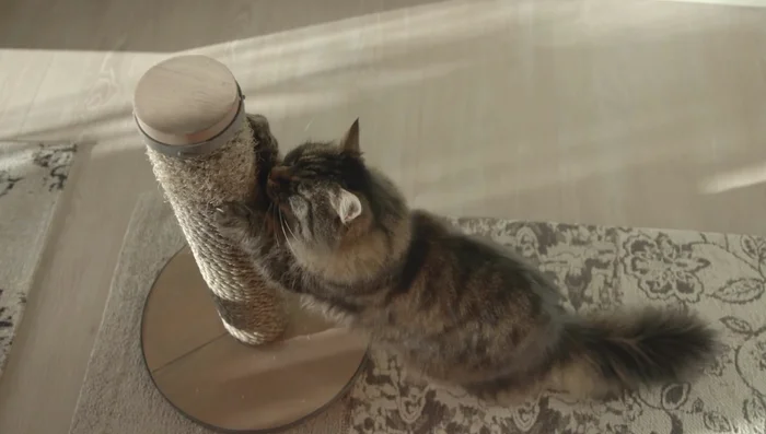 Be patient: Training takes time. Don't get discouraged!