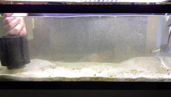 Clean the tank and remove old substrate.