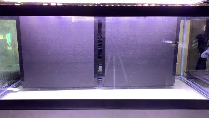 Install tank dividers to create separate sections for each betta.
