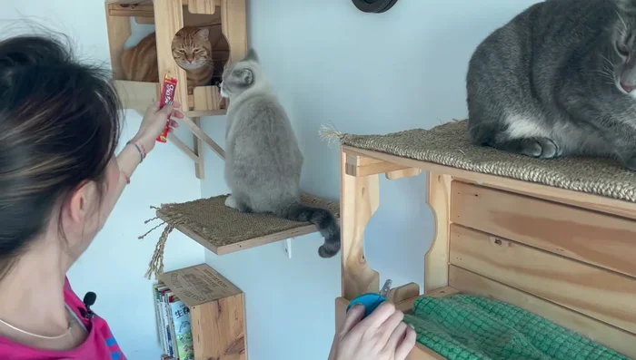 Repeat the process for the remaining claws on the paws.