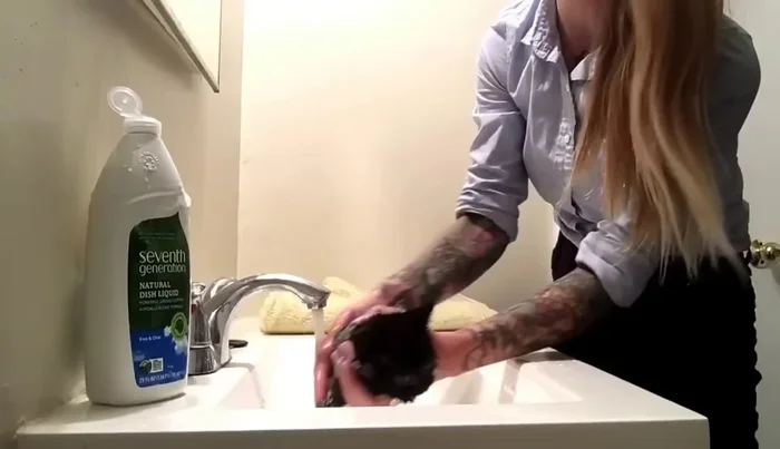 Rinse the kitten thoroughly with comfortably warm water.