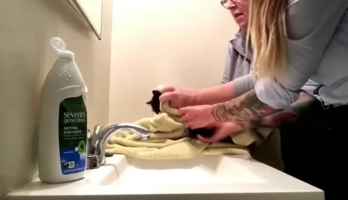 Wrap the kitten in a clean blanket to keep it warm and comfortable.