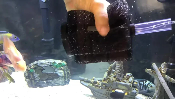 Final steps: Squeeze the sponge to remove air bubbles and place in your aquarium.