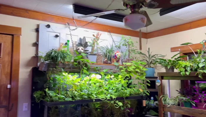 Purchase affordable shop lights from retailers like Walmart or Home Depot.