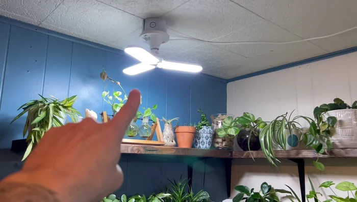 Securely mount the lights above the aquarium, maintaining a distance of 6-8 inches.