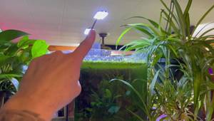 Best Aquarium Plant Lighting: A Deep Dive with Expert Tips