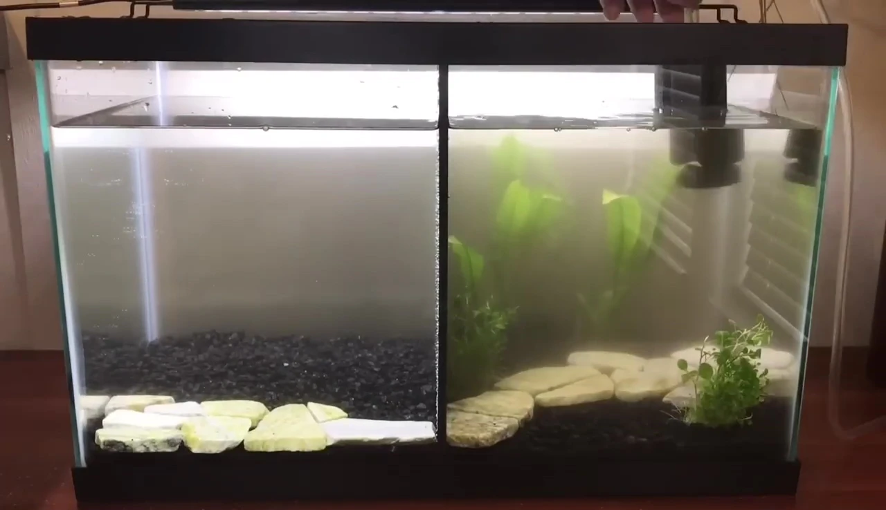 The fully cycled sponge filter
