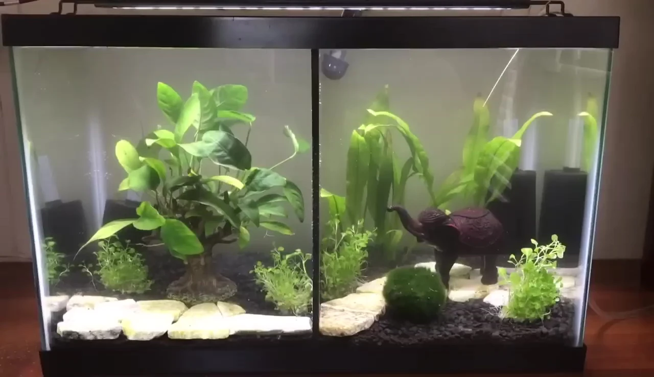 Adding the heater to the tank