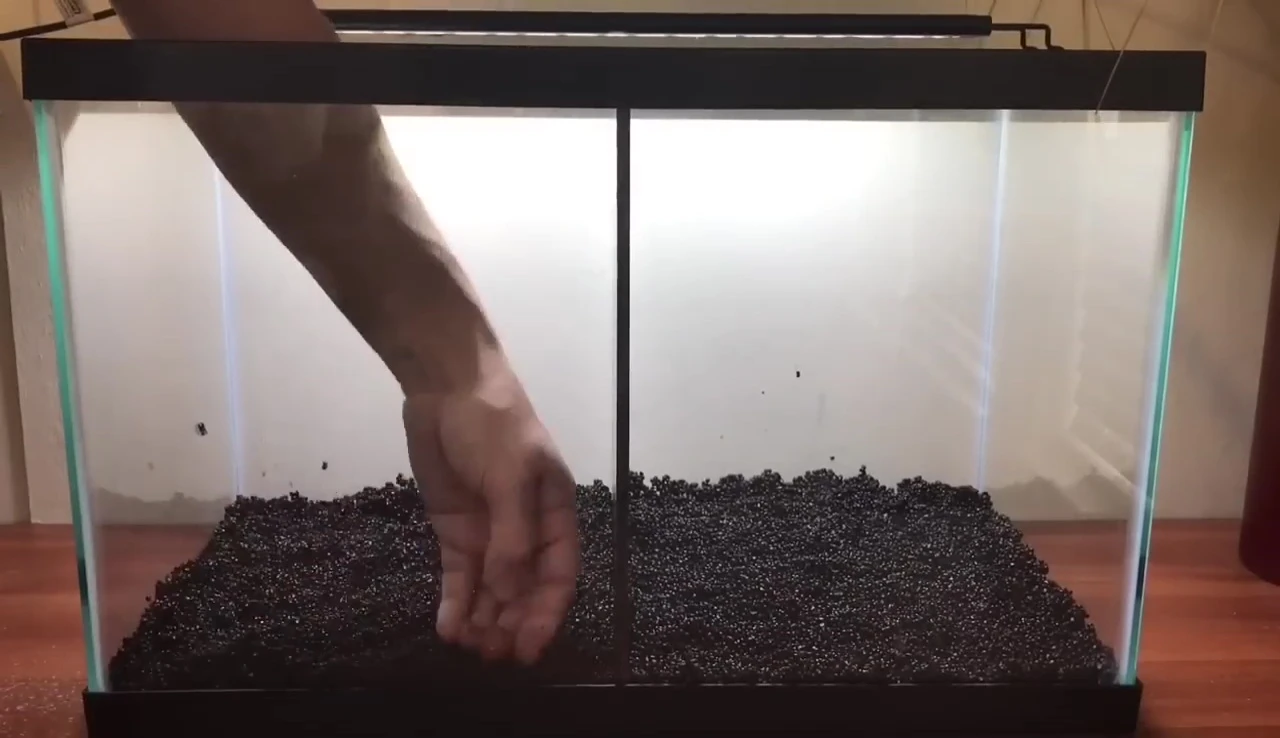 The black gravel layer being added on top of the Fluval stratum