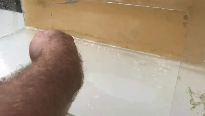 Rinse the aquarium thoroughly after sanding.