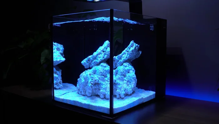 Wait for the aquarium to cycle (a few weeks) to establish a healthy bacteria colony.