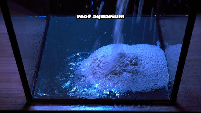 Set up a 10-gallon nano reef tank.