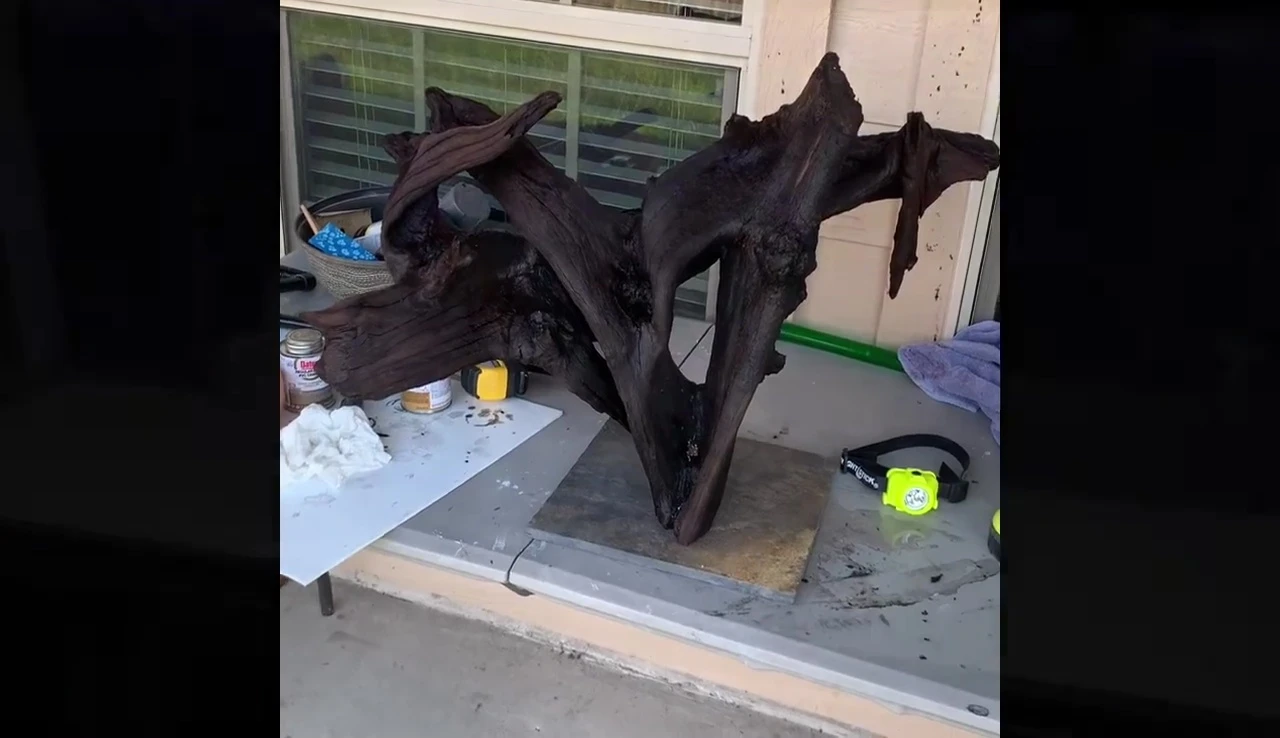 The final placement of the slate tiles with driftwood in the aquarium.