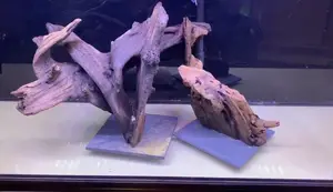 300 Gallon Aquarium Build: Securing Driftwood with Slate Tiles