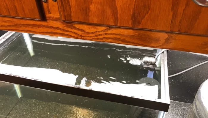 Press the filter against the aquarium glass, adjusting the height for optimal surface agitation.