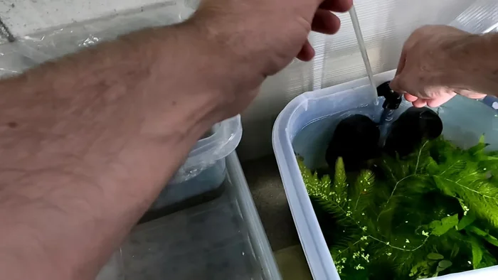 Identify the blocked joint where the pipe goes into the uplift tube.