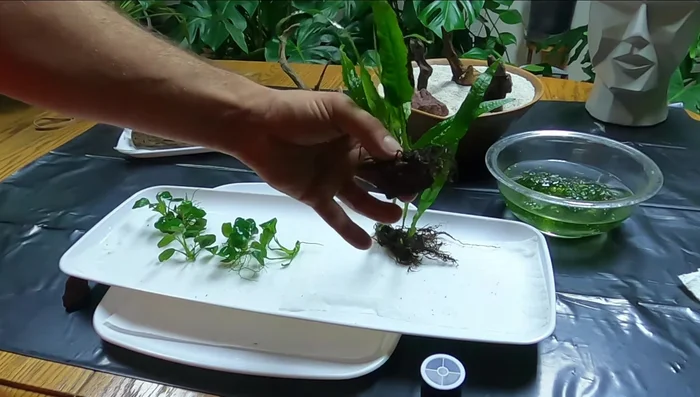 Tie the thread tightly and cut off the excess.