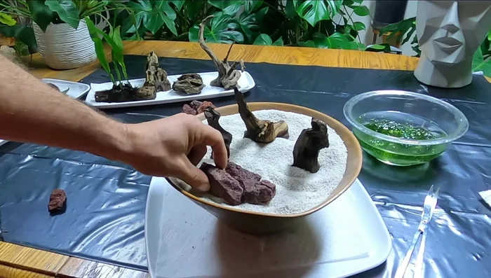 Place additional rocks on top to secure the plant.