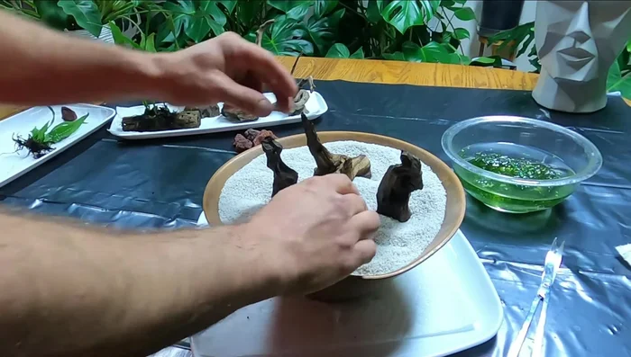 Place additional rocks on top to secure the plant.