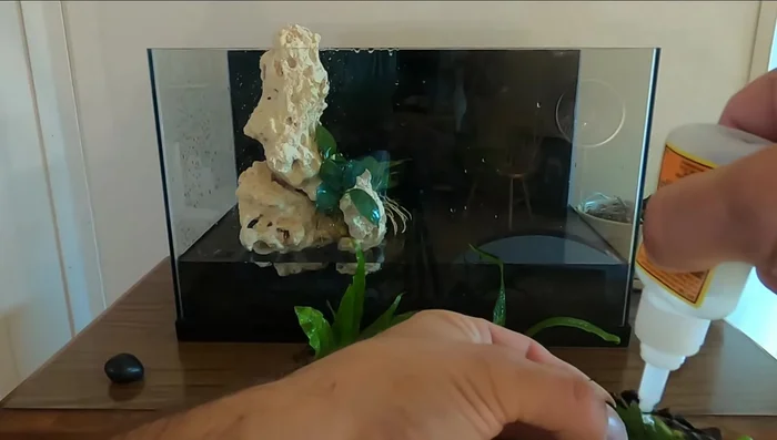 Apply a small amount of super glue to the plant's rhizome or base.