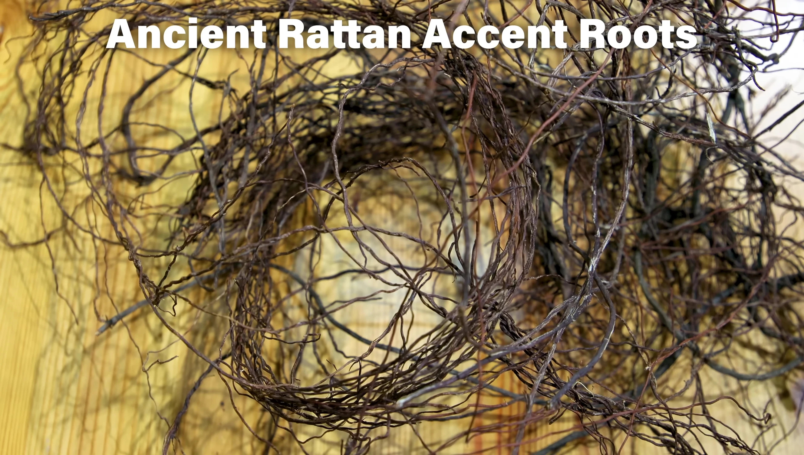 Adding Ancient Raton accent roots