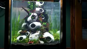 Hideaway Caves Aquascape: A Unique Planted Tank Design