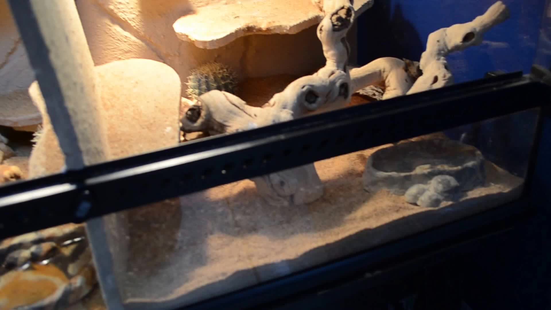 The divided tank showing the two equal halves separated by a barrier.