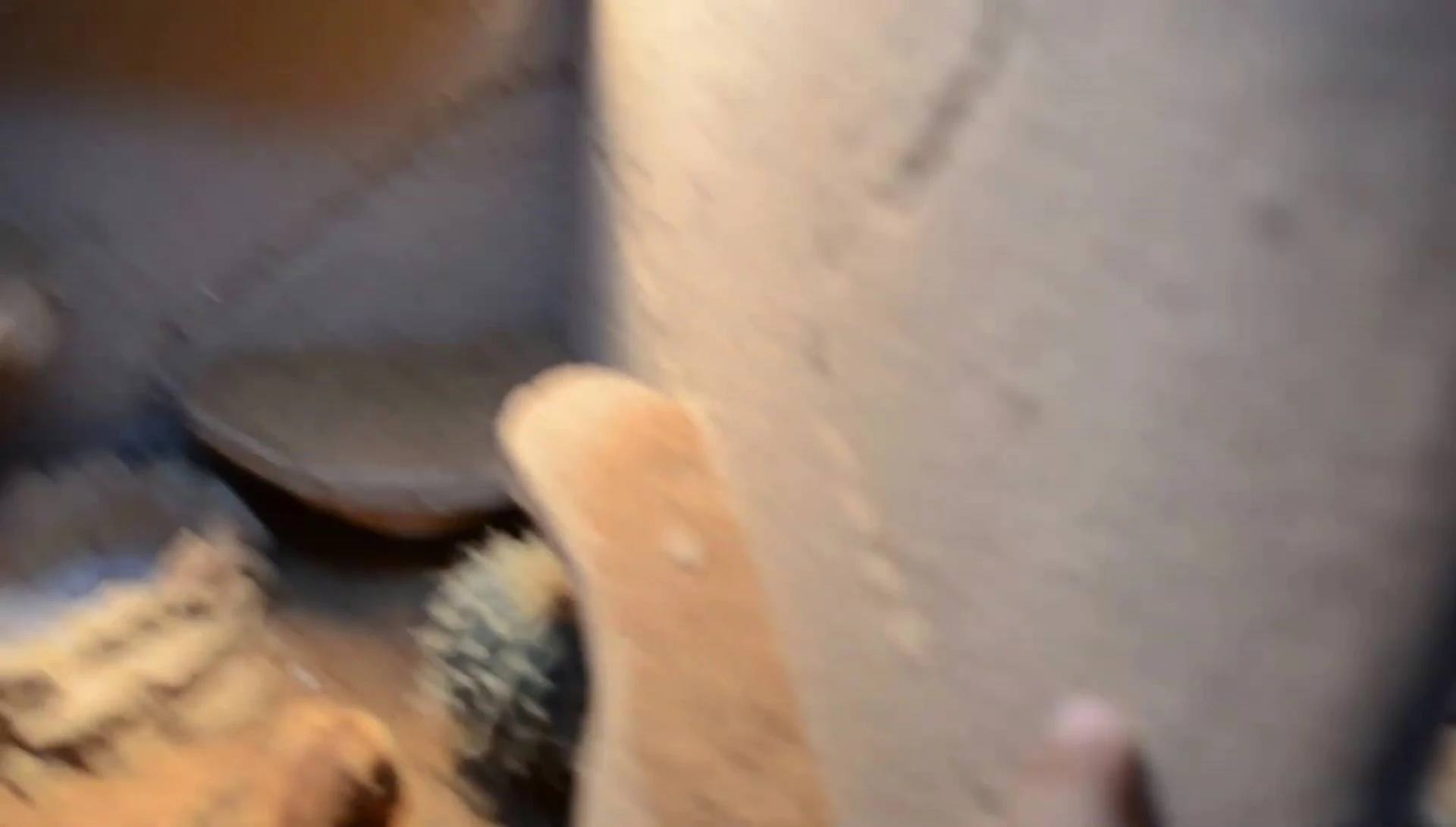 Close-up view of the custom-made backgrounds adding vertical space to the tank.