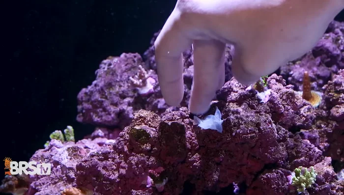 Push the glue like putty into desired areas.