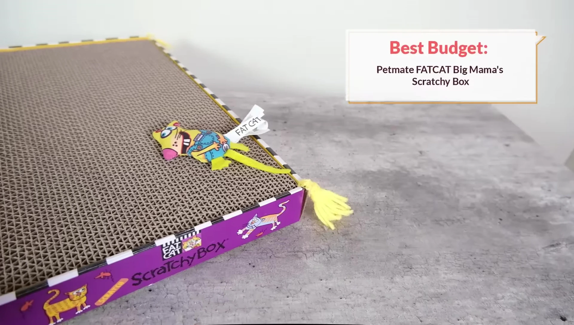 The Petmate Fat Cat Big Mama Scratcher