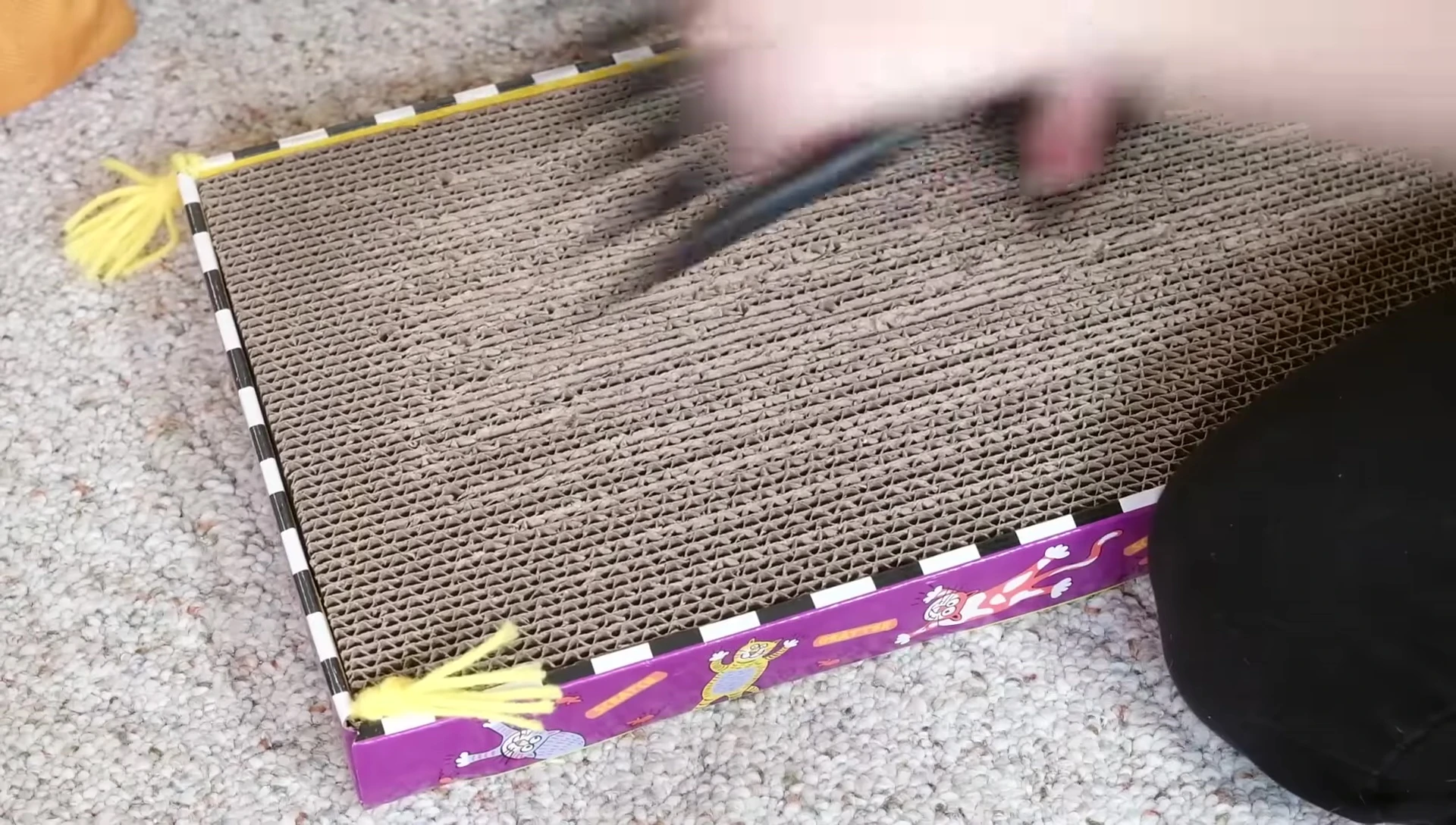 The Petmate scratcher after claw test