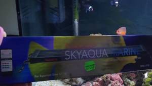 Aquatop SkyAqua Marine LED Aquarium Light Review: A Balanced Reef Tank's Secret Weapon