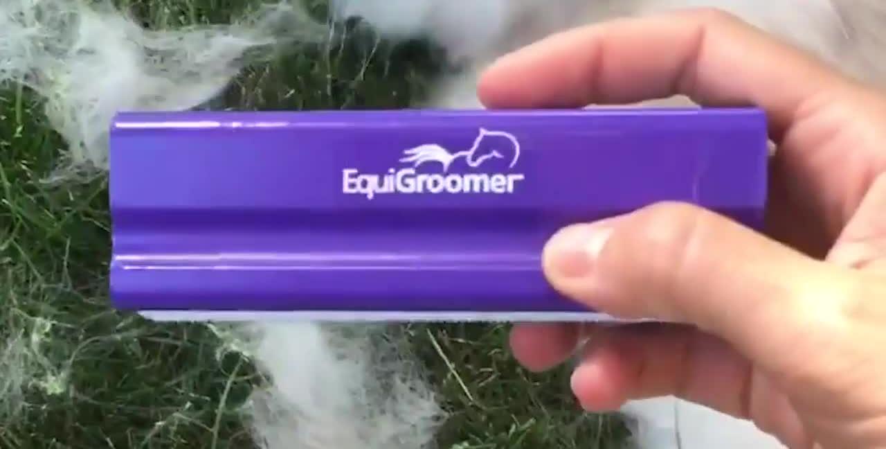 The speaker holding and demonstrating the Equigroomer brush.