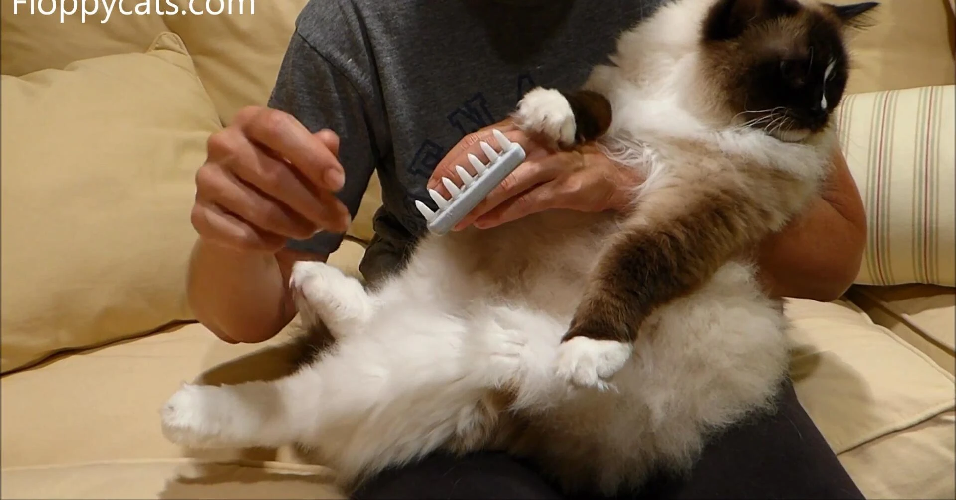 The narrator holds up a salmon tooth, highlighting the comb's inspiration.