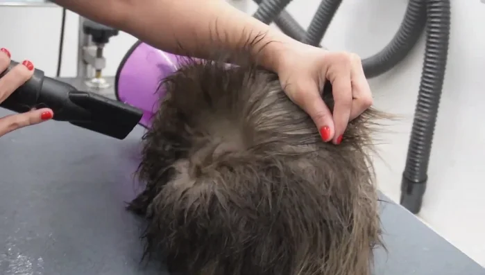 Dry with a hair dryer using a flat nozzle.