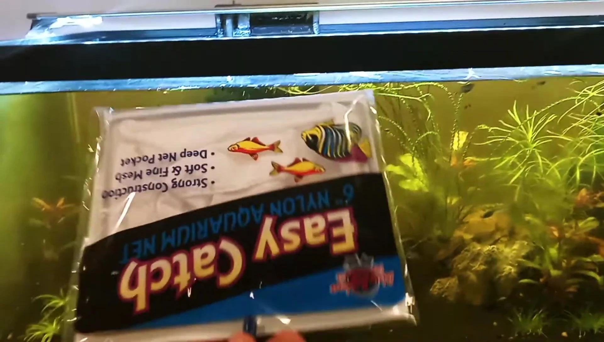 A 6-inch fish net.