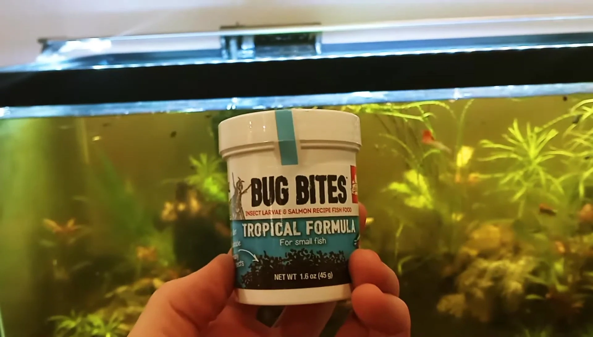 Jar of Blue Ball Bug Bites Truffle formula fish food.
