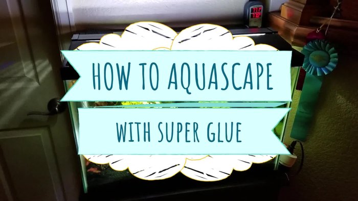 Prepare your plants and hardscape.