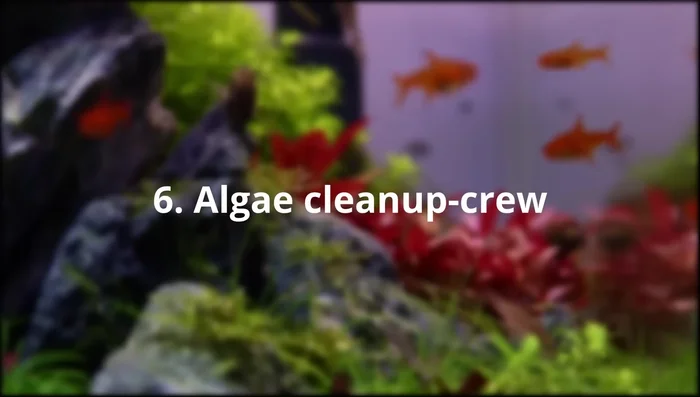 Include Fast-Growing Plants